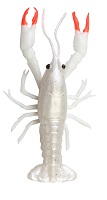 CRAYFISH 3D